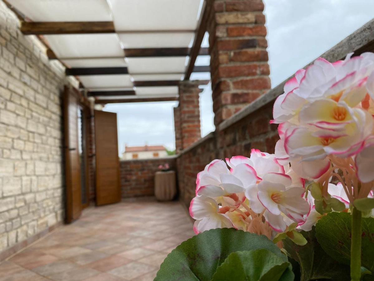 Paradise Villa Cassonni Istria 4 Stars Butkovići Eksteriør bilde